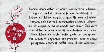 Konnichiwa Genki Font Poster 6