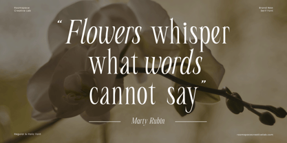 Seraline Orchid Font Poster 2