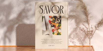 Plavor Font Poster 8