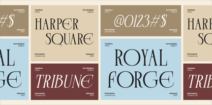 Plavor Font Poster 7