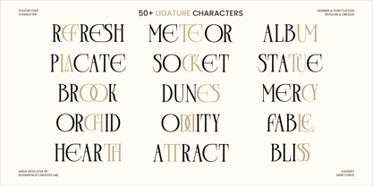 Plavor Font Poster 11