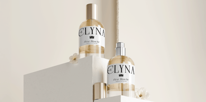 Plavor Font Poster 5