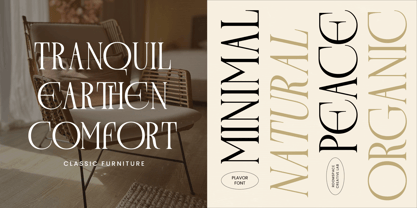 Plavor Font Poster 6