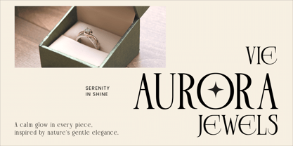 Plavor Font Poster 9