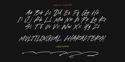 Emoria Brush Font Poster 8