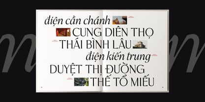 BT Annam Neue Font Poster 8