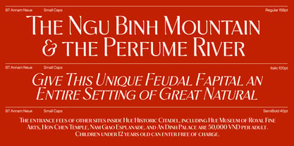 BT Annam Neue Font Poster 12
