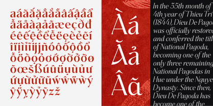 BT Annam Neue Font Poster 7