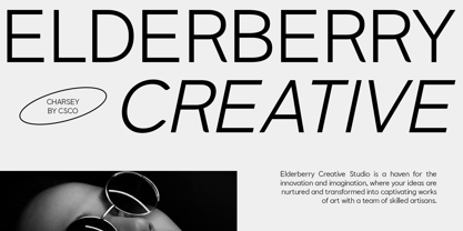 Charsey Font Poster 5