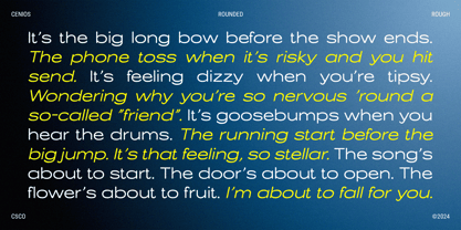 Cenios Rounded Rough Font Poster 5