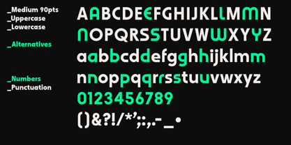 WerkHaus Font Poster 2