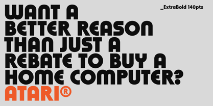 WerkHaus Font Poster 11