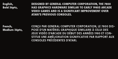 WerkHaus Font Poster 7