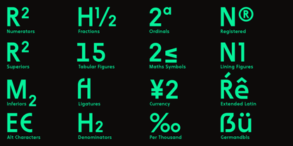 WerkHaus Font Poster 12