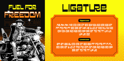 Grovina Font Poster 6