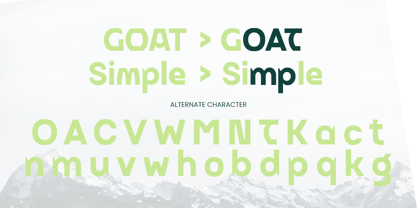 Grita Font Poster 9