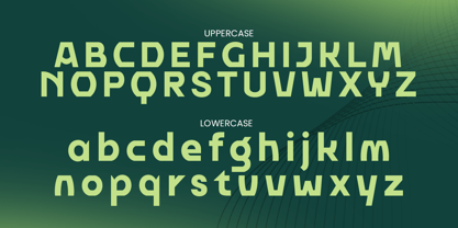 Grita Font Poster 10