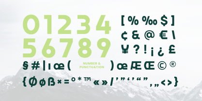 Grita Font Poster 11