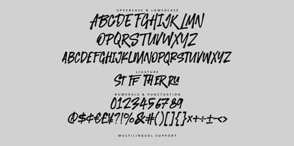 MC Thiger Feron Font Poster 5