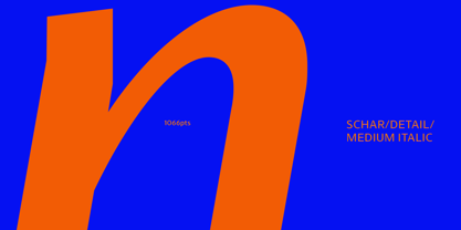 Schar Font Poster 10
