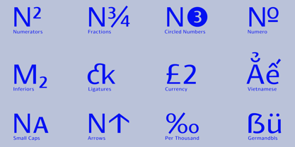 Schar Font Poster 11