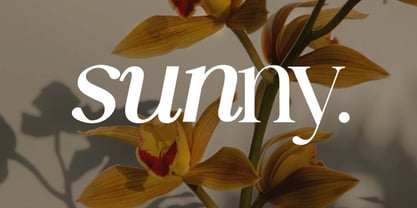 TheHeritageLegacy Font Poster 9