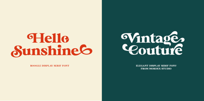 Roogle Font Poster 2