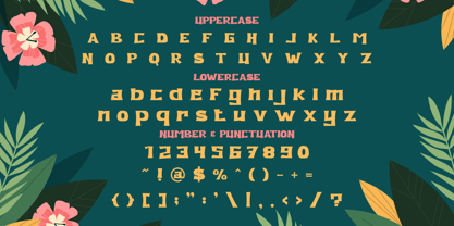 Olana Font Poster 5