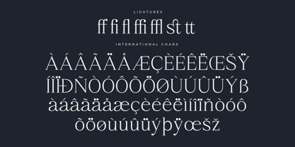 Qestrafin Font Poster 8