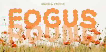 Fogus Round Font Poster 1