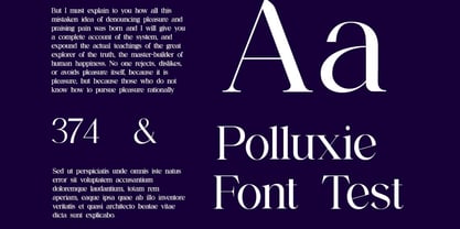 Backswings Font Poster 11