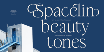 Stokeda Font Poster 10