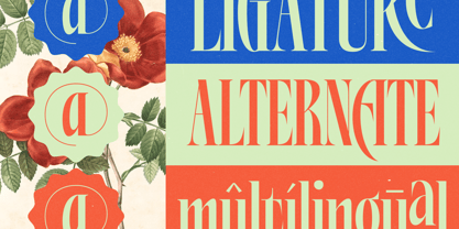 Alkemiogu Font Poster 7