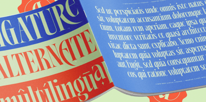 Alkemiogu Font Poster 13