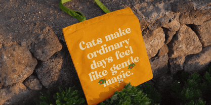 Classica Motion Font Poster 6