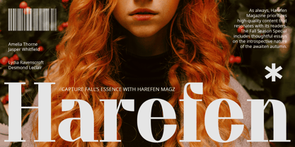 Chatine Font Poster 3