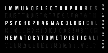 Headpen Font Poster 15