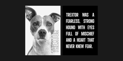 Headpen Font Poster 8