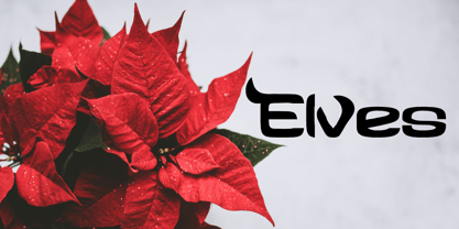 Elfis Font Poster 10