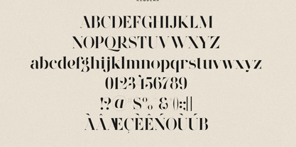 Wonderz Font Poster 15