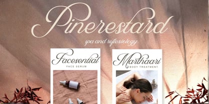 Aurivex Font Poster 5