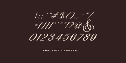Aurivex Font Poster 7