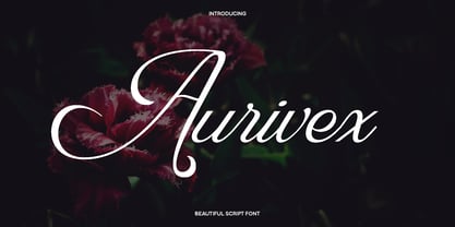 Aurivex Font Poster 1