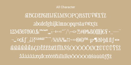 Ceyla Unfocus Font Poster 6