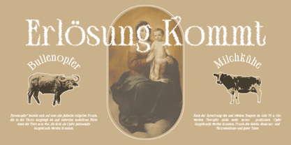 Ceyla Unfocus Font Poster 3