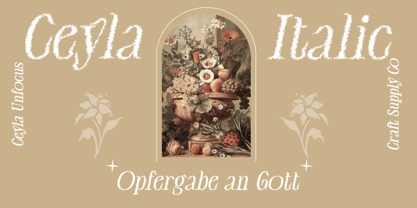 Ceyla Unfocus Font Poster 4