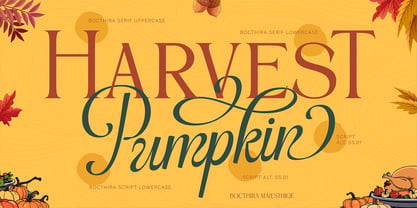 Pumkin Harvest Font Poster 11