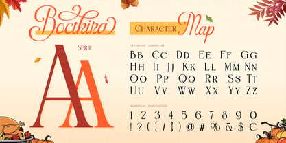 Pumkin Harvest Font Poster 2