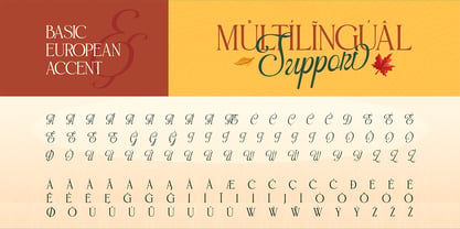 Pumkin Harvest Font Poster 10