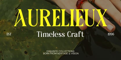 Averique Font Poster 5